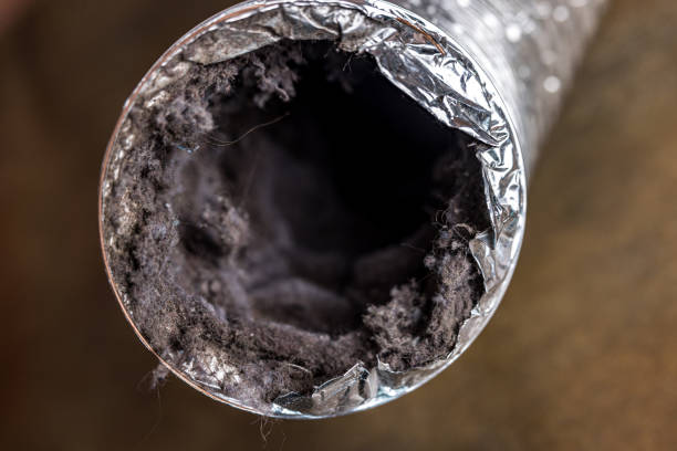 Best Ductwork Cleaning Services  in Silver Springs, FL