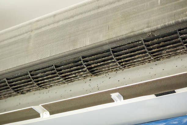 Best General Air Duct Cleaning  in Silver Springs, FL