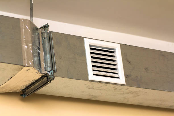 Best Air Duct Sanitizing Services  in Silver Springs, FL